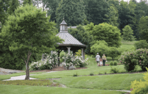 clary gardens in coshocton county